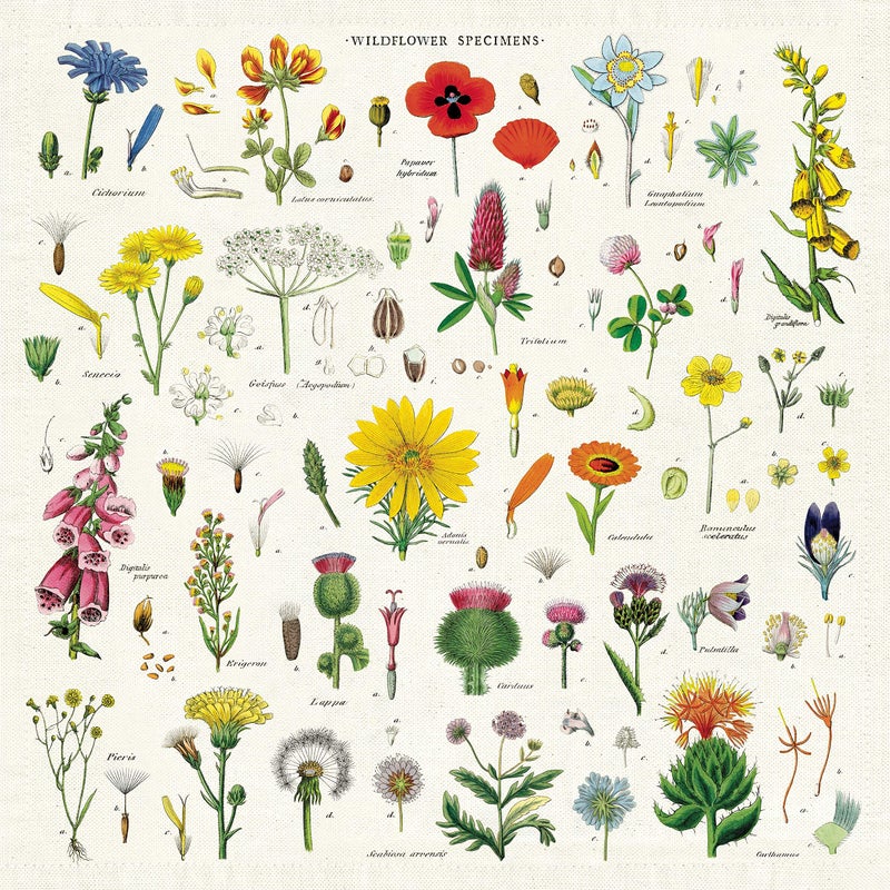 CAVANILLI & CO. Cavallini & Co. Wildflowers Vintage Style Napkins, Set of 4, Assorted, Model Number: NPKN/WF - Image 1